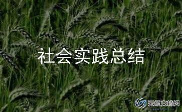 在工厂做社会实践的心得8篇