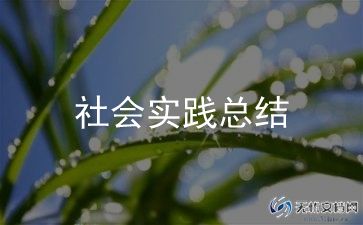 关爱社会实践报告推荐6篇