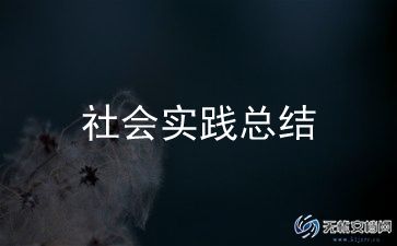 暑假打工实践总结8篇