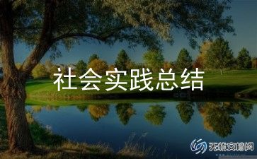 暑假社会工作报告7篇