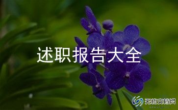 2024销售个人述职报告总结6篇