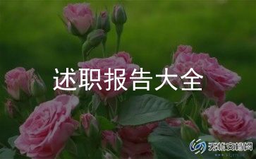 业务员的述职报告范文8篇