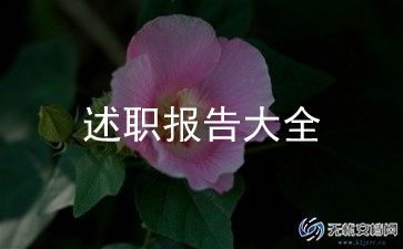 述职和总结7篇