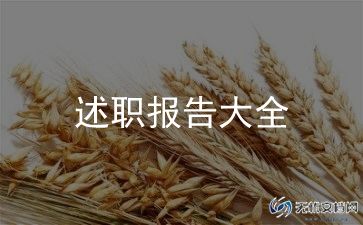 销售经理述职报告优质5篇