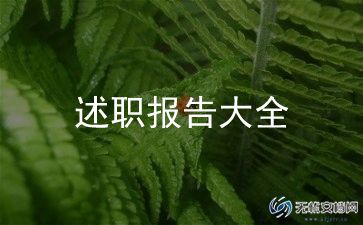 村领导述职报告范文通用7篇