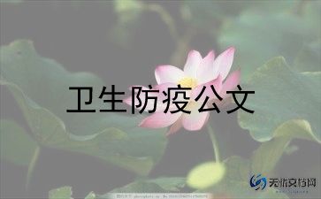 2024卫生月活动方案及策划5篇