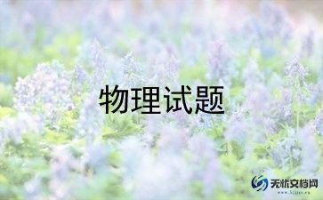 物理老师的工作总结精选5篇