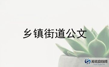 乡镇年终工作总结7篇