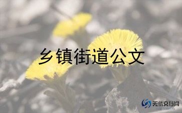 乡镇个人2024年工作总结推荐8篇