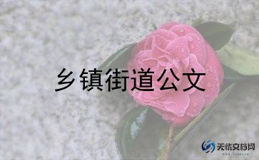 2024年乡镇个人年终总结5篇