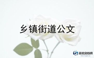 乡镇2024年调研报告范文5篇