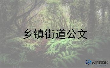 2024年乡镇干部年终总结7篇