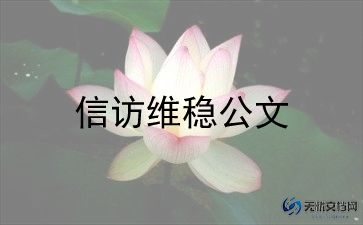 年终信访工作总结8篇