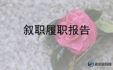 乡副镇长述职报告范文8篇