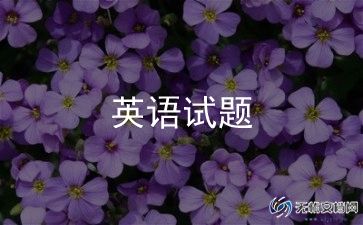 我的英语老师梦作文5篇