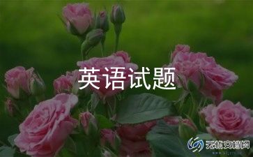 英语老师的心得5篇