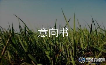 学生就业意向调查报告6篇