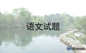 2024年度小学语文老师个人工作总结8篇