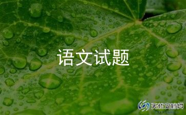 语文老师的工作总结优秀6篇