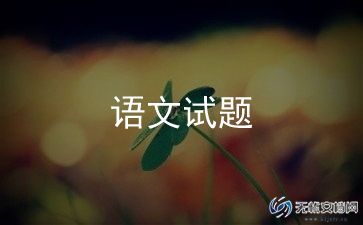 我的男语文老师500字作文7篇