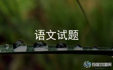 语文总结的作文推荐8篇