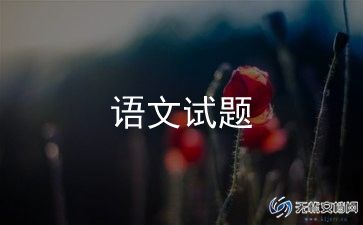 一年级语文老师年度工作总结5篇