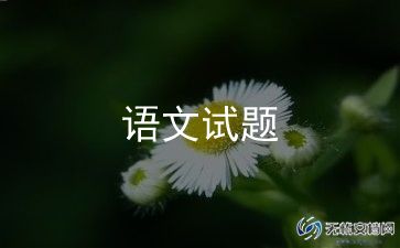 语文老师的述职报告精选5篇