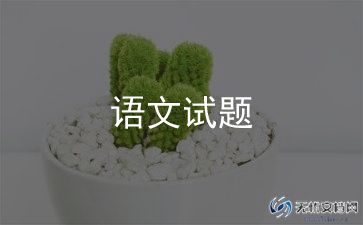 2024年语文老师工作总结通用8篇