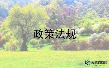 双减政策心得体会参考6篇