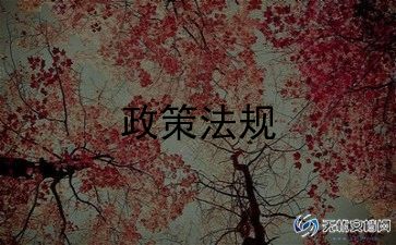 学法律讲法律作文8篇