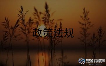 双减下的心得体会6篇