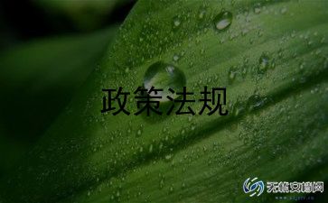 双减政策家长心得体会通用5篇