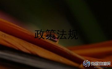 落实“双减”政策心得8篇