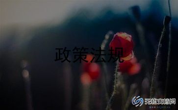 双减教学计划8篇