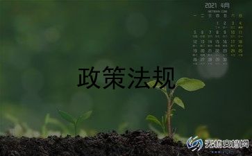 2024年形势与政策心得体会优质8篇