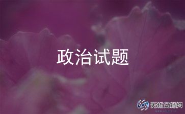 个人政治老师年度总结范文8篇