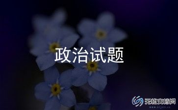 政治老师个人年度总结6篇