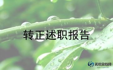 导购员转正工作总结6篇