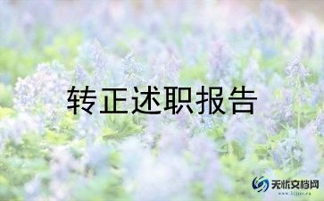 转正个人总结通用范文6篇