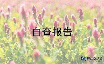 医疗收费自查报告模板6篇