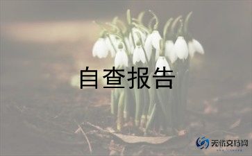 卫生室医保自查报告5篇