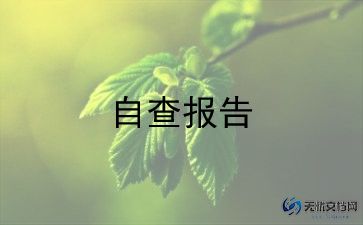 安全自查工作总结6篇