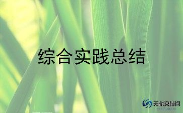 2024年社会实践总结优质8篇