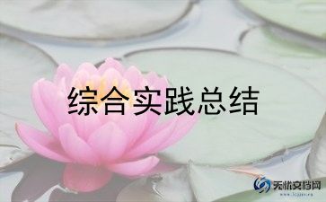 实践调查报告精选8篇