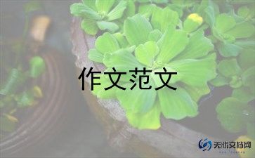 我和书的故事500字作文7篇