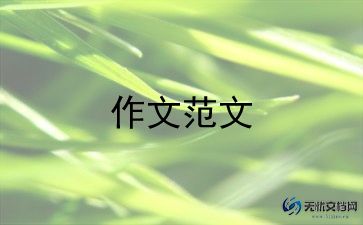 我的“伙伴”作文7篇