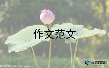 我的童年作文500字5篇