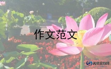 偶像小作文模板5篇