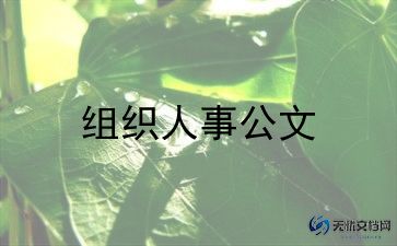 人事转正述职报告推荐5篇