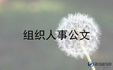 人事部门工作总结通用6篇